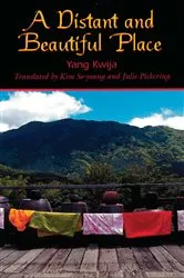 Book cover of A Distant and Beautiful Place by Kwija Yang