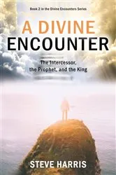 Book cover of A Divine Encounter by Unknown