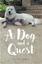 Book cover of A Dog and a Quest by Unknown