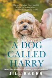 Book cover of A Dog Called Harry by Jill Baker