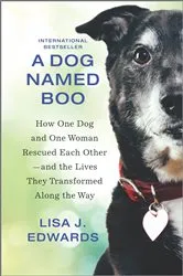 Book cover of A Dog Named Boo by Lisa J. Edwards