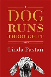 Book cover of A Dog Runs Through It: Poems by Linda Pastan
