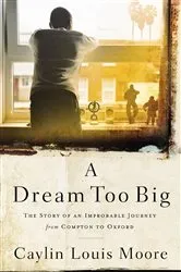 Book cover of A Dream Too Big by Caylin Louis Moore