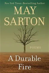 Book cover of A Durable Fire by Barbara Keating