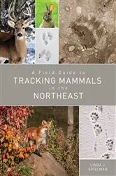 Book cover of A Field Guide to Tracking Mammals in the Northeast by Linda J. Spielman