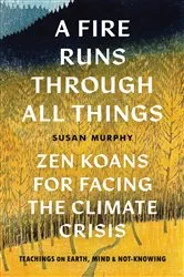 Book cover of A Fire Runs through All Things by Susan Murphy