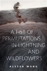 Book cover of A Fist of Permutations in Lightning and Wildflowers by Alyssa Wong
