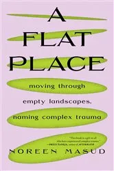 Book cover of A Flat Place by Noreen Masud