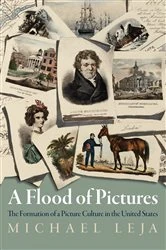 Book cover of A Flood of Pictures by Michael Leja