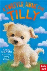 Book cover of A Forever Home for Tilly by Linda Chapman
