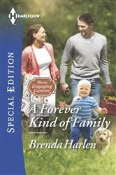 Book cover of A Forever Kind of Family by Brenda Harlen