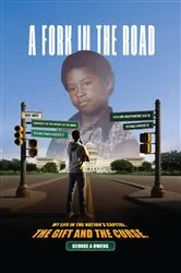 Book cover of A Fork in the Road by George A Owens