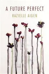 Book cover of A Future Perfect by Razielle Aigen