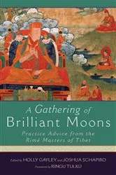 Book cover of A Gathering of Brilliant Moons by Holly Gayley