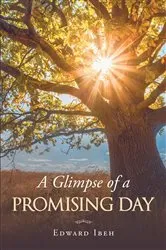 Book cover of A Glimpse of a Promising Day by Edward Ibeh