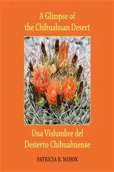 Book cover of A Glimpse of the Chihuahuan Desert/Una Visluimbre del Desierto Chihuahuense by Patricia Mihok