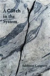 Book cover of A Glitch in the System by Unknown