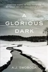 Book cover of A Glorious Dark by Unknown