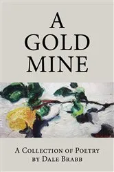 Book cover of A Gold Mine by Dale Brabb