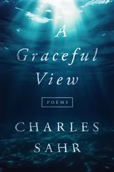 Book cover of A Graceful View by Charles Sahr