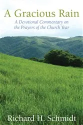 Book cover of A Gracious Rain by Richard H. Schmidt