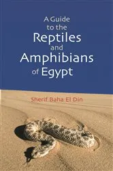 Book cover of A Guide to Reptiles and Amphibians of Egypt by Sherif Baha el Din