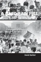 Book cover of A Hard Rain Fell by David Barber