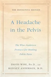 Book cover of A Headache in the Pelvis by David Wise
