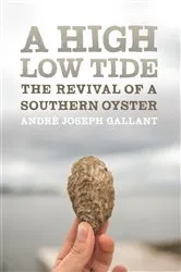 Book cover of A High Low Tide by André Joseph Gallant