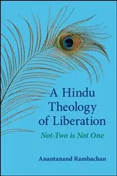Book cover of A Hindu Theology of Liberation by Unknown