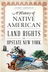 Book cover of A History of Native American Land Rights in Upstate New York by Cindy Amrhein