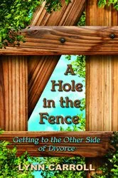 Book cover of A Hole in the Fence by Lynn Carroll