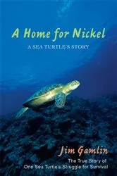 Book cover of A Home for Nickel by Jim Gamlin
