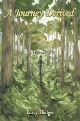 Book cover of A Journey Derived by Barry Hodges