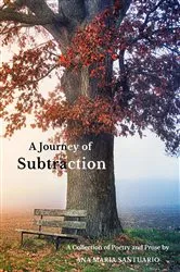 Book cover of A Journey of Subtraction by Ana Maria Santuario
