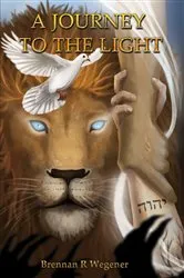 Book cover of A Journey to the Light by Brennan R. Wegener