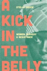 Book cover of A Kick in the Belly by Stella Abasa Dadzie