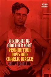 Book cover of A Knight of Another Sort by Gary DeNeal
