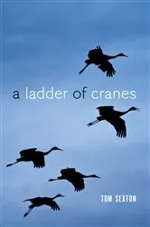 Book cover of A Ladder of Cranes by Tom Sexton