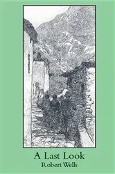 Book cover of A Last Look by Robert Wells