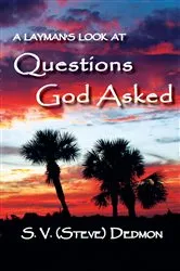 Book cover of A Layman's Look at Questions God Asked by Dedmon, S. (Steve) , V.