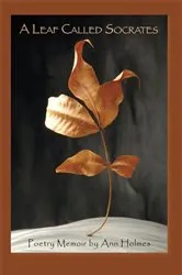 Book cover of A Leaf Called Socrates by Ann Holmes