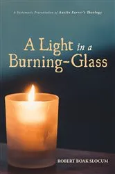 Book cover of A Light in a Burning-Glass by Robert Boak Slocum