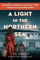 Book cover of A Light in the Northern Sea by Tim Brady