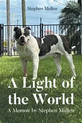 Book cover of A Light of the World by Unknown