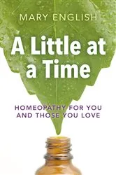 Book cover of A Little at a Time by Mary English