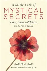 Book cover of A Little Book of Mystical Secrets by Unknown