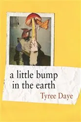 Book cover of a little bump in the earth by Unknown