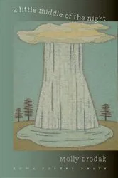 Book cover of A Little Middle of the Night by Molly Brodak