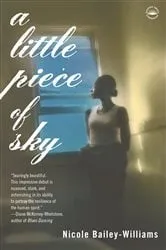 Book cover of A Little Piece of Sky by Nicole Bailey Williams